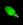 lightsbutyel.jpg (840 bytes)